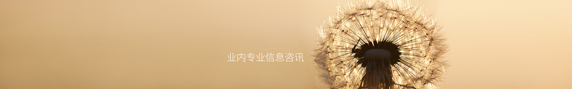 Bitpie Download