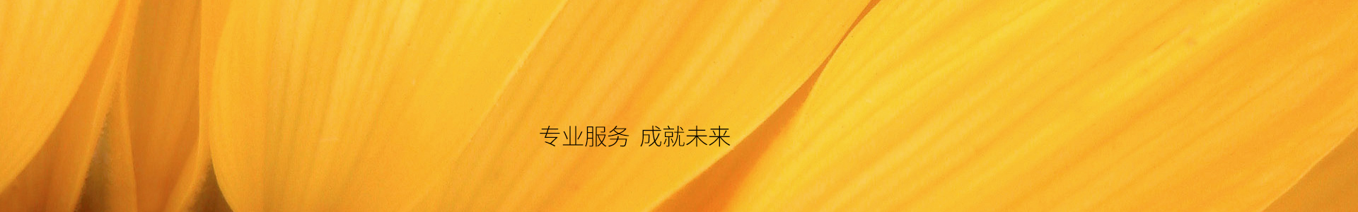 比特派下载地址